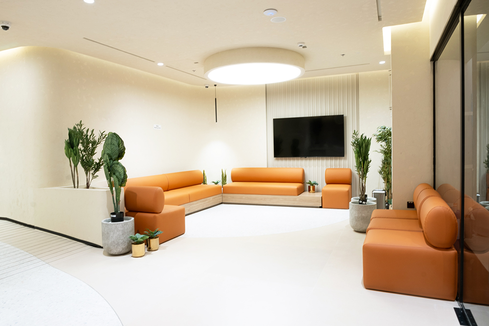 Dentists in Economy, Pennsylvania visual data 7